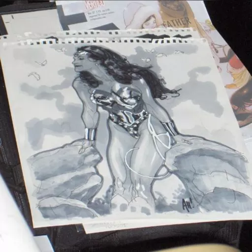 alias:wonder_woman artist:adam_hughes character:diana_of_themyscira medium:artwork publisher:dc // 500x499 // 39.3KB // jpg // image/jpeg // wonder_woman_ah_star_wars_celebration_europe