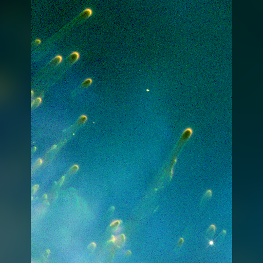 medium:photo space telescope:hubble // 502x656 // 562.9KB // webp // image/webp; lossless=true // opo9613b