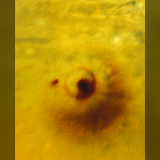 medium:photo space telescope:hubble // 3496x4288 // 18.8MB // webp // image/webp; lossless=true // opo9436a