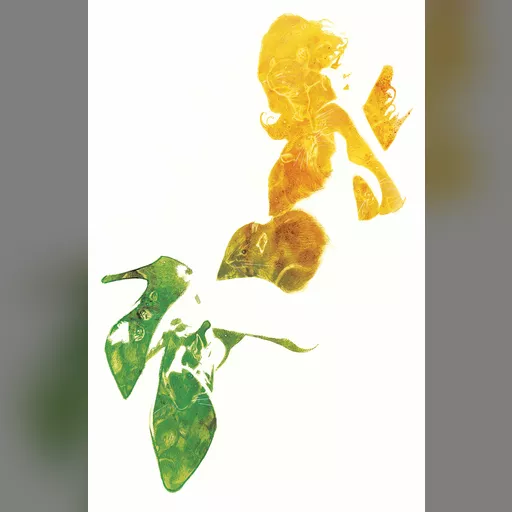 artist:adam_hughes medium:artwork // 1500x2276 // 437.8KB // jpg // image/jpeg // Fairest_Vol_1_23_Textless