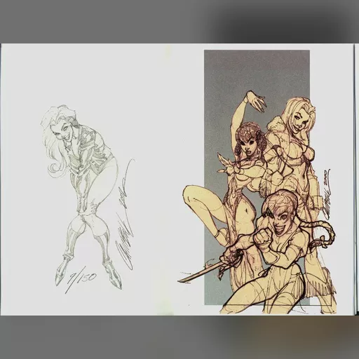 alias:black_canary artist:j_scott_campbell character:dinah_drake character:kasumi character:lei_fang medium:artwork publisher:dc series:dead_or_alive // 841x637 // 99.6KB // jpg // image/jpeg // CampbellBlackCanaryandDOA