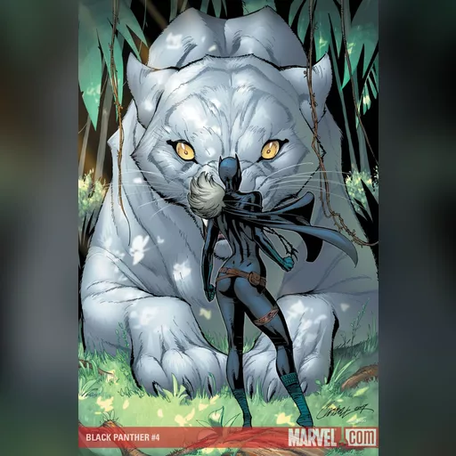 artist:j_scott_campbell medium:artwork // 891x1353 // 277.1KB // jpg // image/jpeg // BLAPV5004_Cov_col