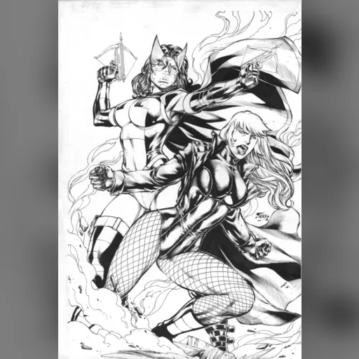 alias:black_canary artist:fred_benes character:dinah_drake grayscale huntress medium:artwork medium:drawing publisher:dc style:benes // 542x800 // 356.2KB // jpg // image/jpeg // IMG_0008[1]
