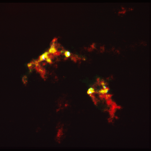 medium:photo space telescope:hubble // 2461x2395 // 7.2MB // webp // image/webp; lossless=true // opo9317a