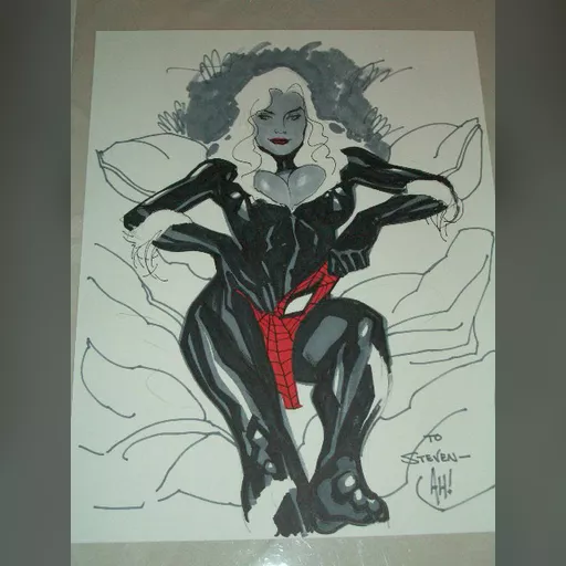 alias:black_cat artist:adam_hughes character:felicia_hardy medium:artwork publisher:marvel series:spider-man // 480x640 // 70.7KB // jpg // image/jpeg // BLACK-CAT